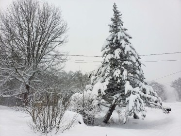 INDEPENDENCE DAYS #29