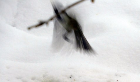 LINK FEST: 31 JANUARY 2023