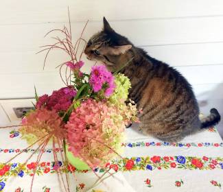 WRITE 28 DAYS: MEDITATION RESPONSES – DAY 22: Seeing the Good