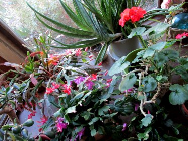 WRITE 28 DAYS: MEDITATION RESPONSES – DAY 20: Changing Emotions