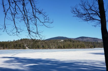 INDEPENDENCE DAYS #32