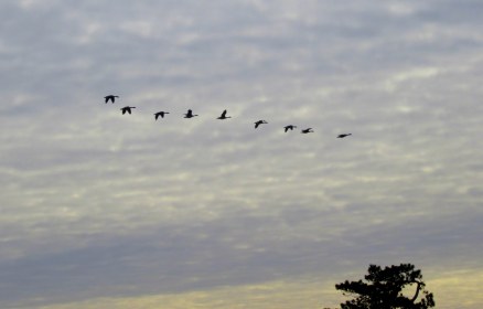 LINK FEST: 7 FEBRUARY 2023