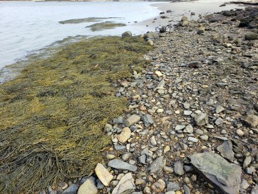 WRITE 28 DAYS: MEDITATION RESPONSES – Day 2: Hearing