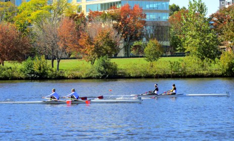 WRITE 28 DAYS: MEDITATION RESPONSES – DAY 18: Working with Thoughts