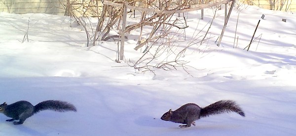 LINK FEST: 21 FEBRUARY 2023