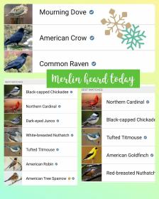 INDEPENDENCE DAYS #36