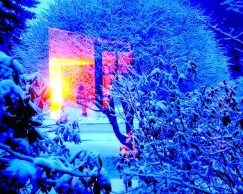 LINK FEST: 4 APRIL 2023