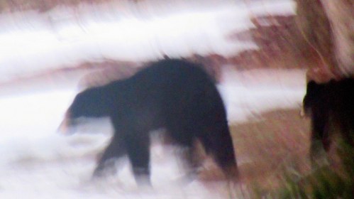 LINK FEST: 11 APRIL 2023