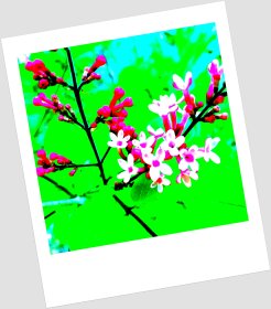 LINK FEST: 30 MAY 2023