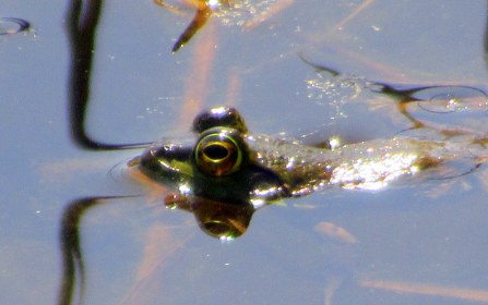 LINK FEST: 16 MAY 2023