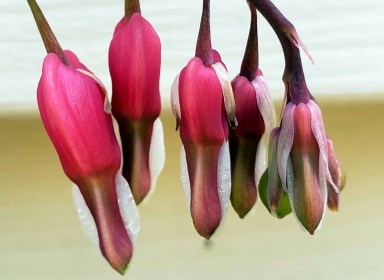 LINK FEST: 9 MAY 2023