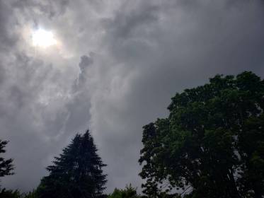 LINK FEST: 27 JUNE 2023