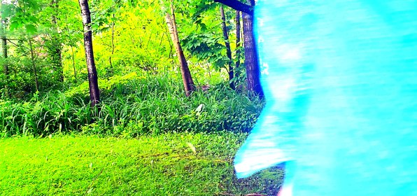 LINK FEST: 25 JULY 2023