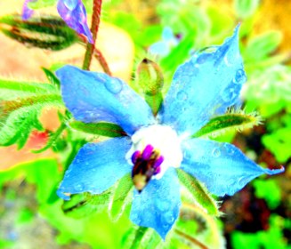 LINK FEST: 11 JULY 2023