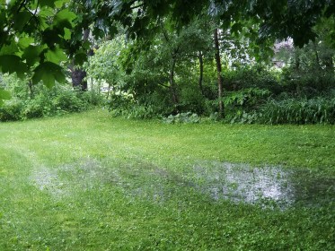 INDEPENDENCE DAYS #54