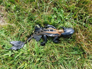 LINK FEST: 15 AUGUST 2023