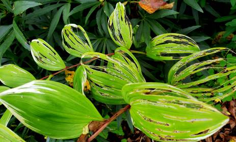 LINK FEST: 22 AUGUST 2023