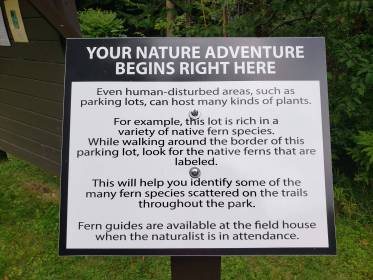 INDEPENDENCE DAYS #59