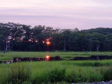 LINK FEST: 29 AUGUST 2023