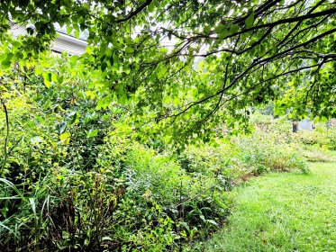 INDEPENDENCE DAYS #61