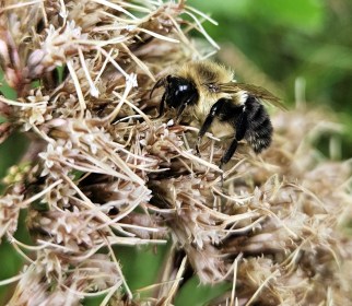 LINK FEST: 19 SEPTEMBER 2023