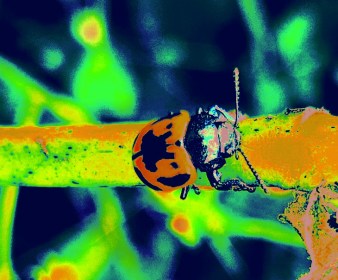 LINK FEST: 3 OCTOBER 2023