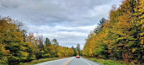 INDEPENDENCE DAYS #67