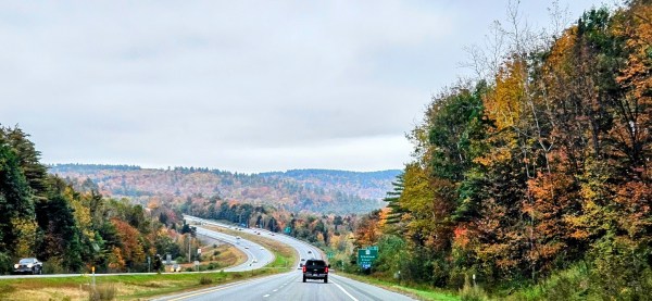 INDEPENDENCE DAYS #65