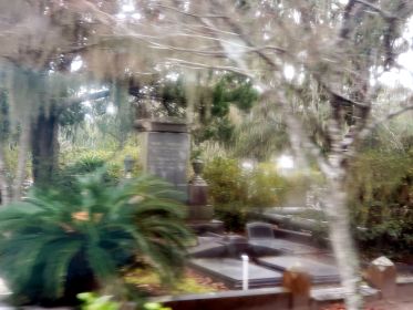 LINK FEST: 31 OCTOBER 2023