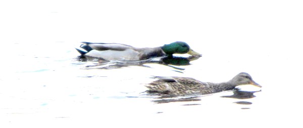 LINK FEST: 24 OCTOBER 2023