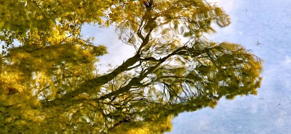 LINK FEST: 10 OCTOBER 2023