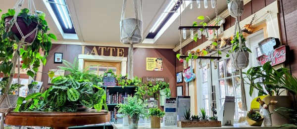 INDEPENDENCE DAYS #71