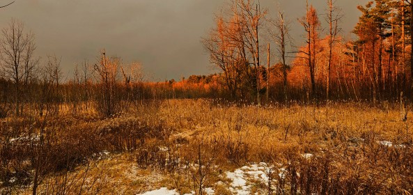 LINK FEST: 12 DECEMBER 2023