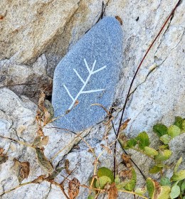 INDEPENDENCE DAYS #72