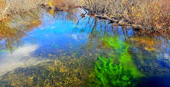 LINK FEST: 21 NOVEMBER 2023