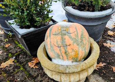 INDEPENDENCE DAYS #70