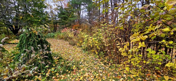 INDEPENDENCE DAYS #68