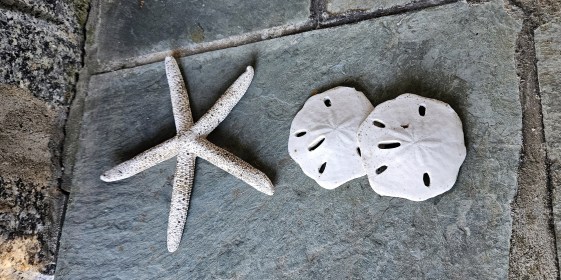 LINK FEST: 14 NOVEMBER 2023