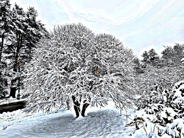 INDEPENDENCE DAYS #74