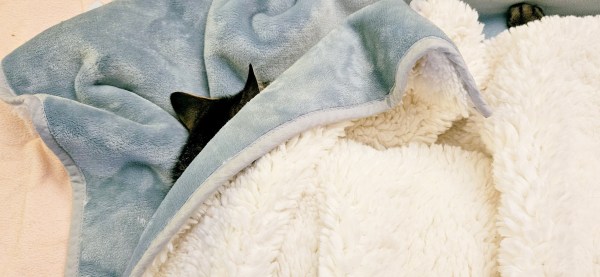 LIMINAL LIVING #3: 15 Jan to 21 Jan 2024