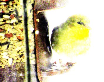 LINK FEST: 16 JANUARY 2024