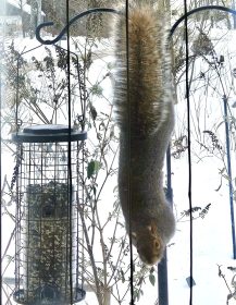 LIMINAL LIVING #2: 8 JAN TO 14 JAN 2024