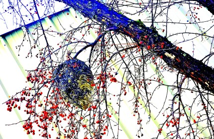 LINK FEST: 30 JANUARY 2024