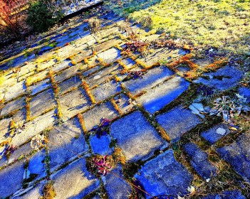 LINK FEST: 9 JANUARY 2024