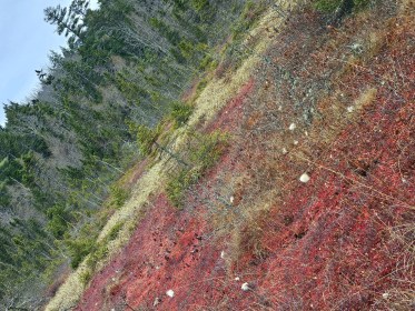 LIMINAL LIVING #1: 1 JAN to 7 JAN 2024