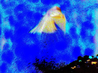 Write 28 Days: Dream Poems – Day 1