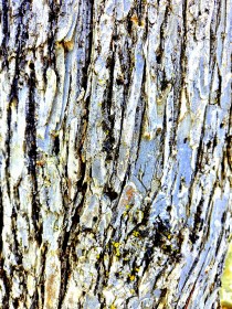 WRITE 28 DAYS: DREAM POEMS – Day 26