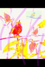 WRITE 28 DAYS: DREAM POEMS – Day 11