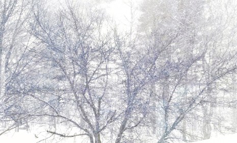 WRITE 28 DAYS: DREAM POEMS – Day 17