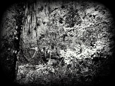 WRITE 28 DAYS: DREAM POEMS – Day 9